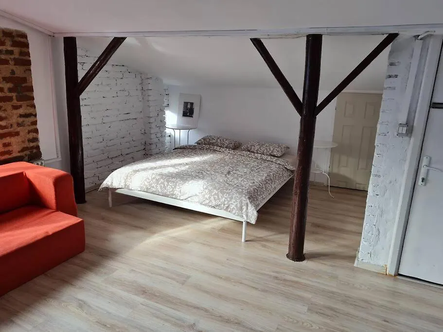 The Attic Of The Painter Eugen Gasca Apartment Bucureşti România