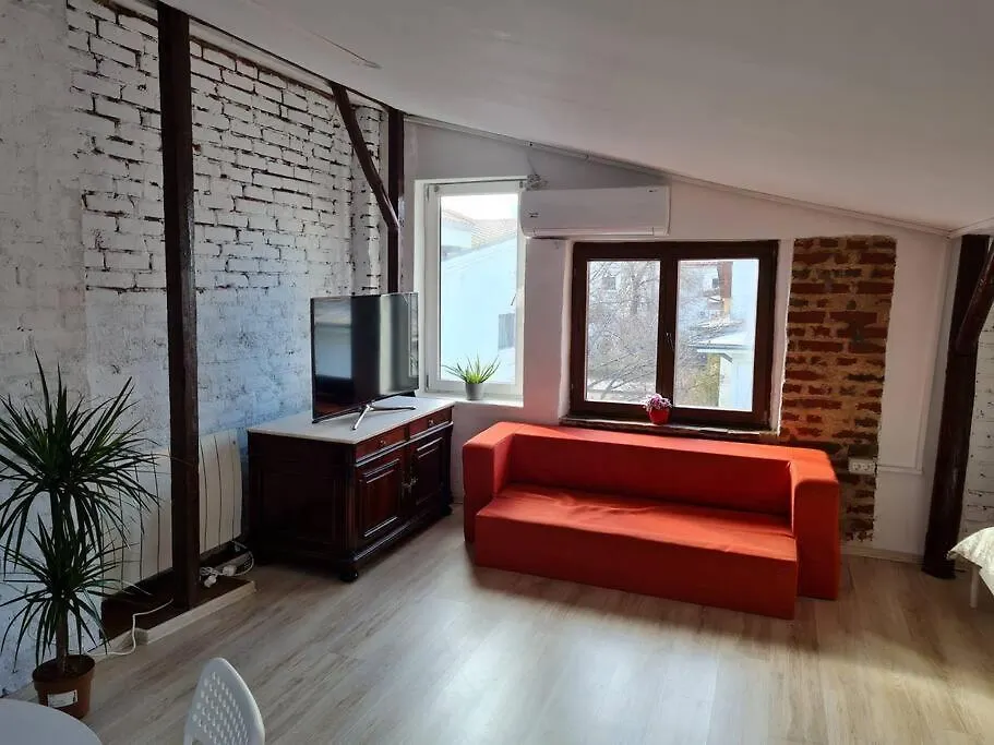 The Attic Of The Painter Eugen Gasca Apartment Bucharest